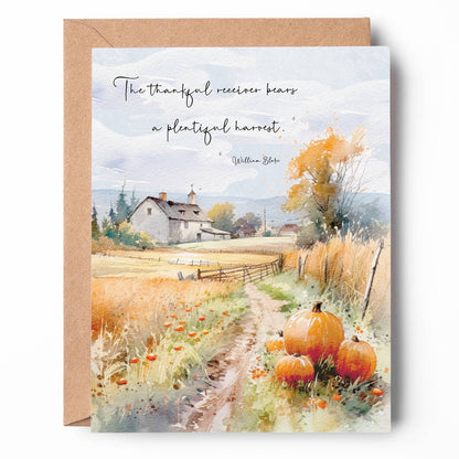 Pumpkin Fields Thanksgiving Card