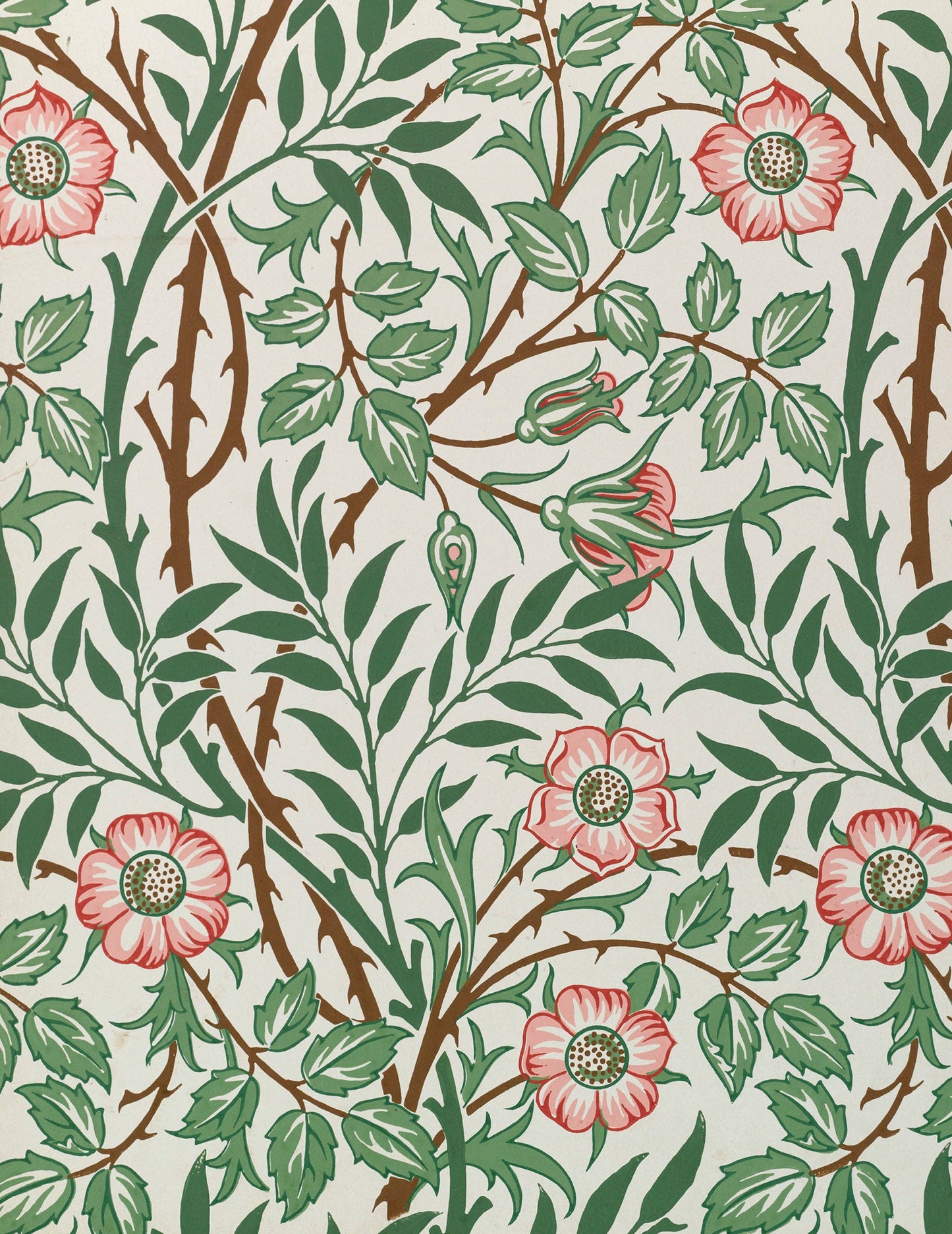 William Morris Keepsake Boxed Note Cards