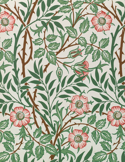 William Morris Keepsake Boxed Note Cards