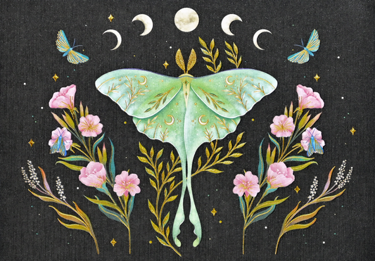 Luna Moth Blank Note Cards
