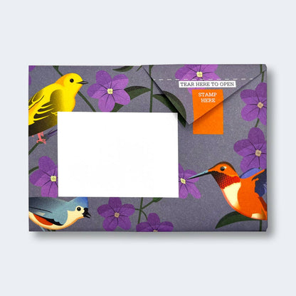 Carnival of Colour Pigeon Folding Letter Pack