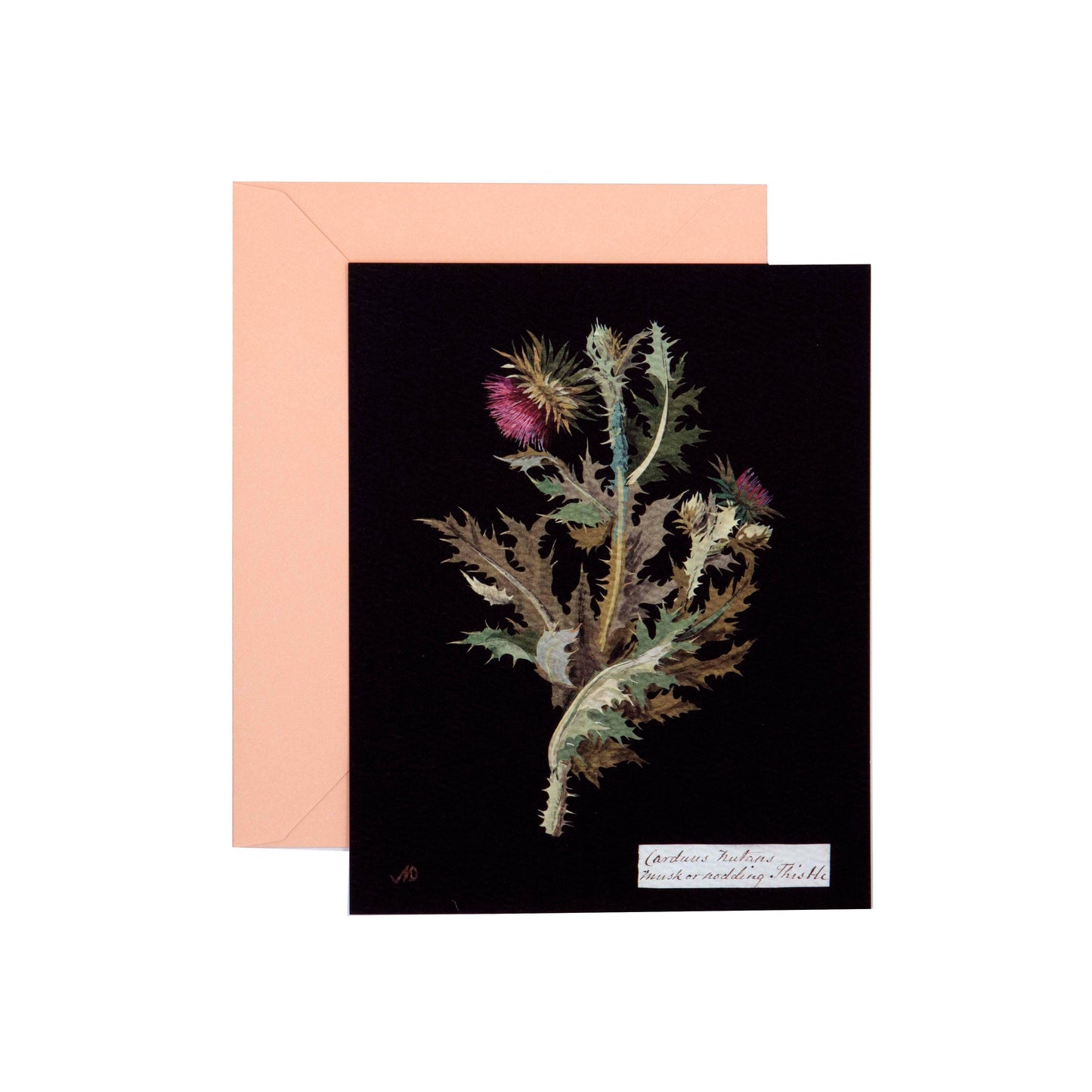 Paper Flowers Flat Cards