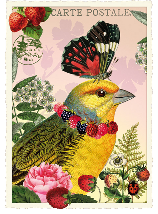 Vintage Butterfly and Bird Postcard