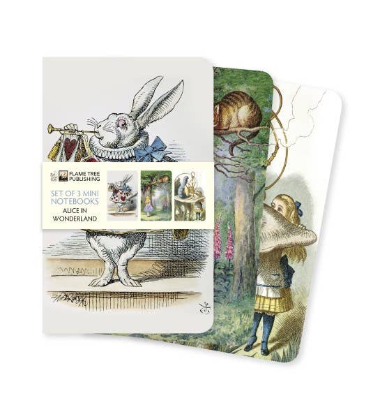 Alice In Wonderland: Set of 3 Mini Notebooks