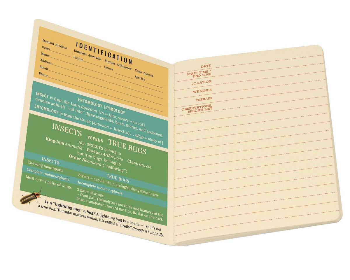 Insect Notebook Insect (Entomology) Notebook – Allport Editions