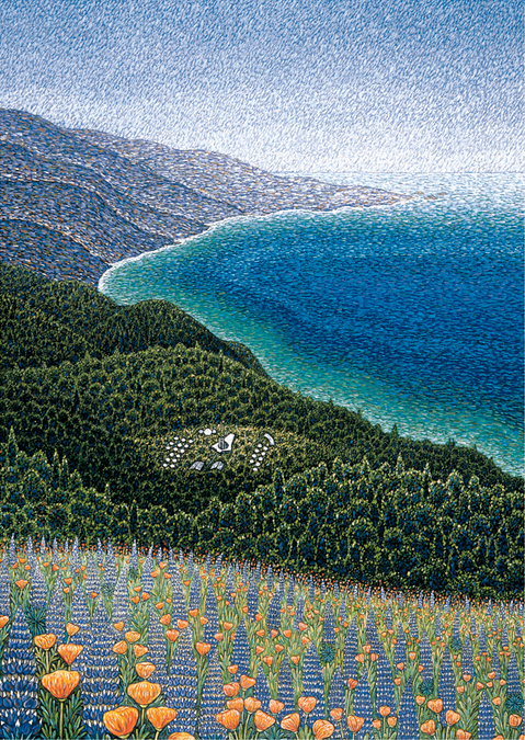 Big Sur, Spring Cards