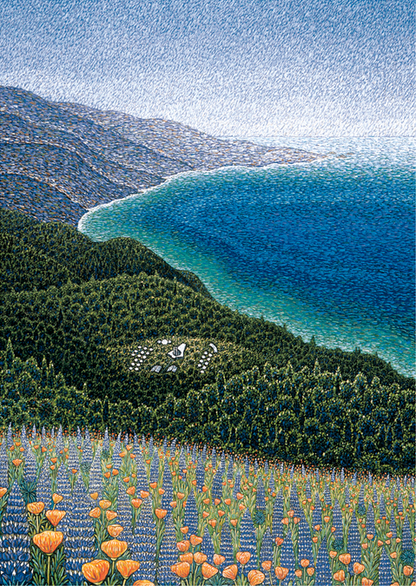 Big Sur, Spring Cards