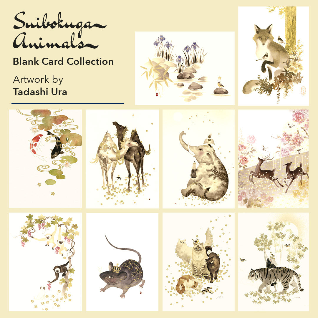 アニマルカードセット SDZWA Assorted Postcard Pack - ShopZoo