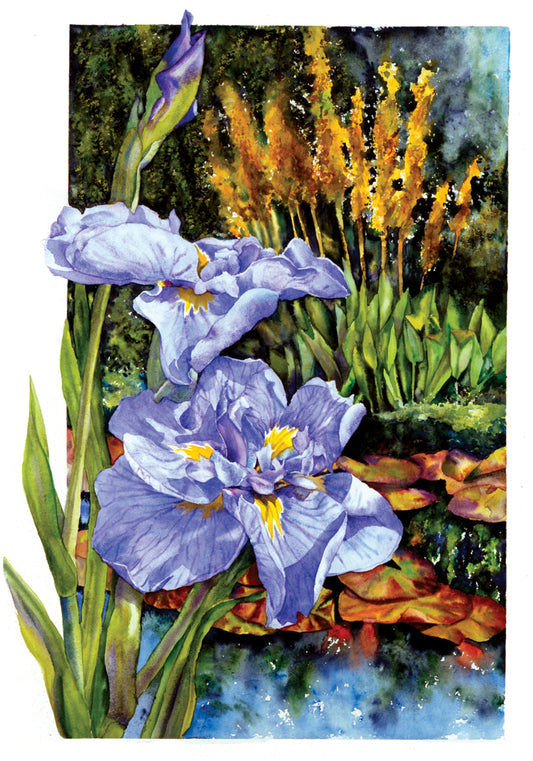 Japanese Iris Card
