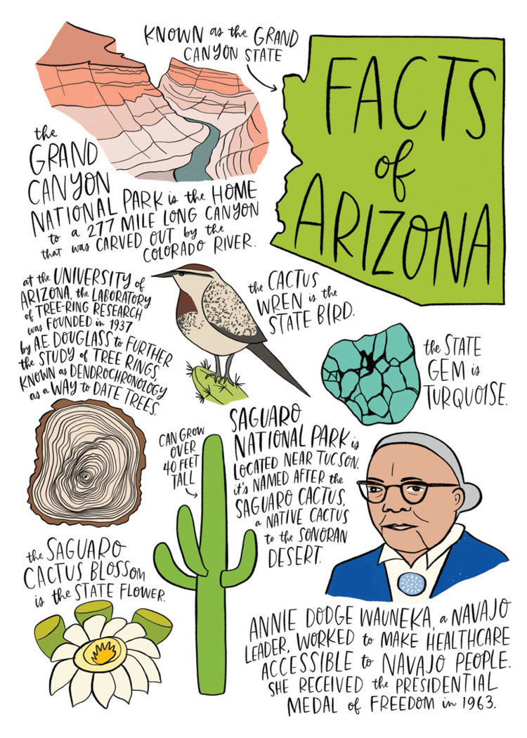 State Facts: Arizona Card