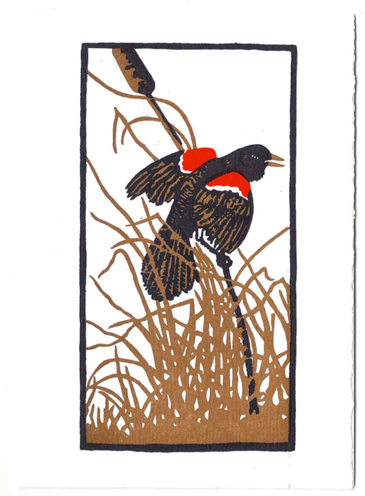 Red Wing Blackbird Blank Card