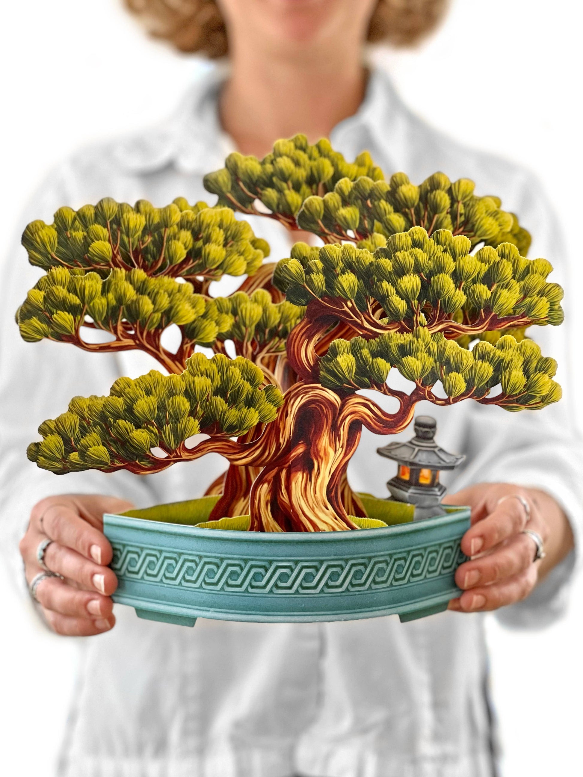 bonsai tree forever stamps Wisdom Bonsai Pop-Up Bouquet & Card – Allport Editions