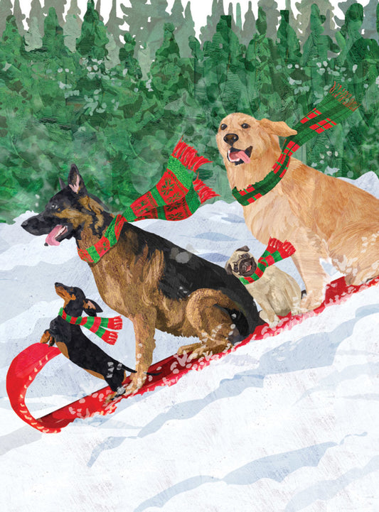 Dogs Toboggan Holiday Card