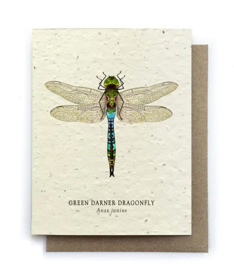 Green Darner Dragonfly Plantable Seed Card
