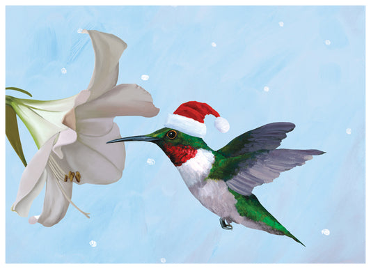 Holiday Hummingbird Holiday Card