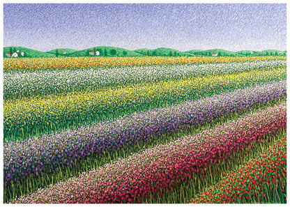 Rainbow Fields Cards