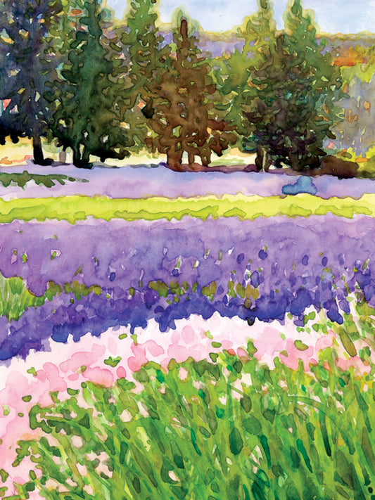 Fields of Lavender Card