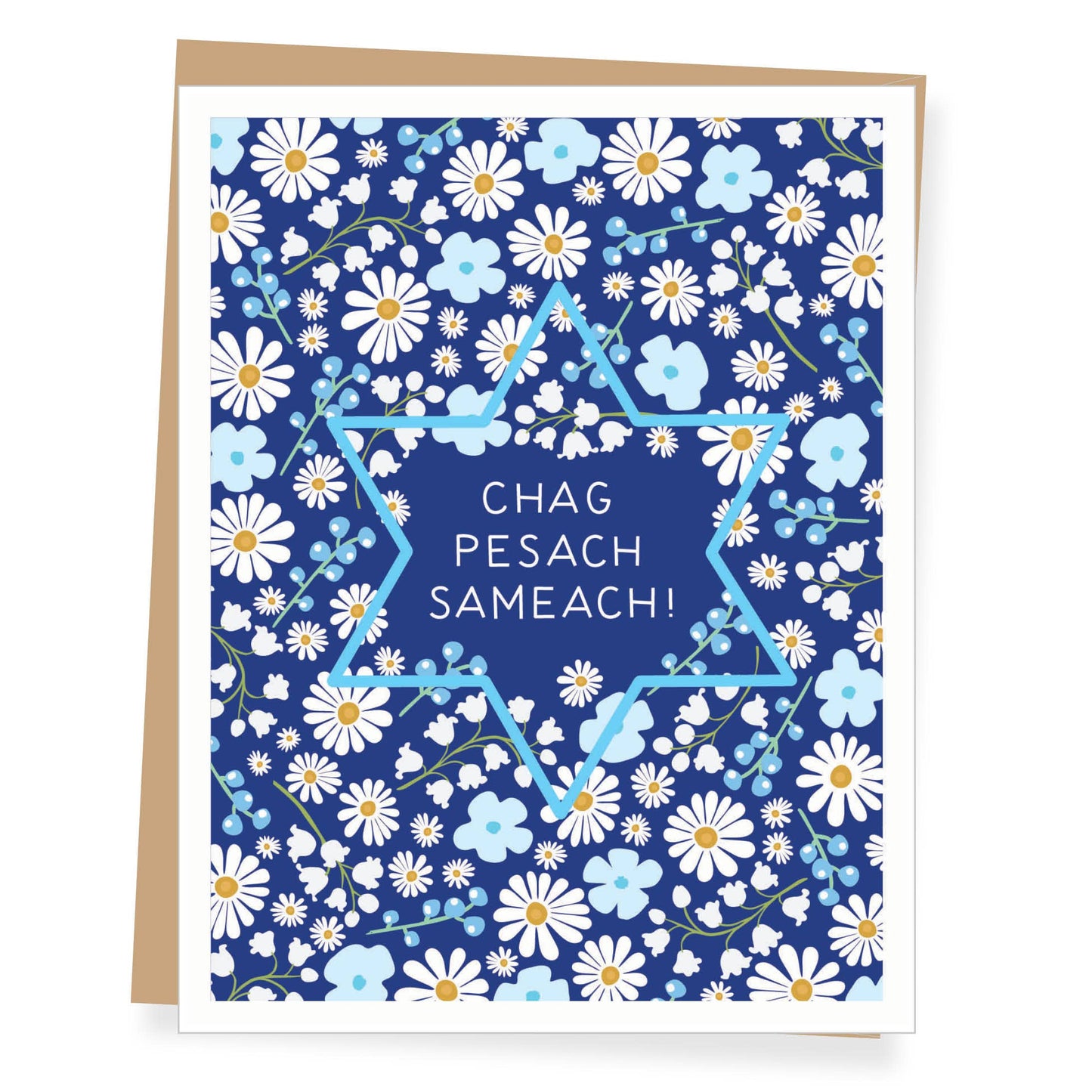 Chag Pesach Sameach Passover Card