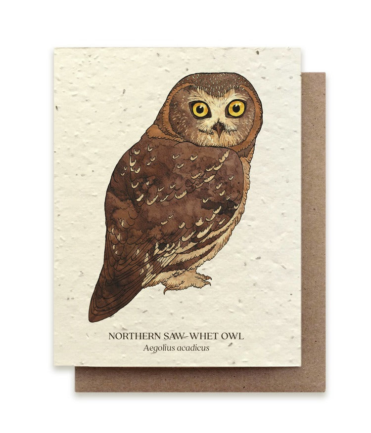 Saw-Whet Owl Plantable Seed Card