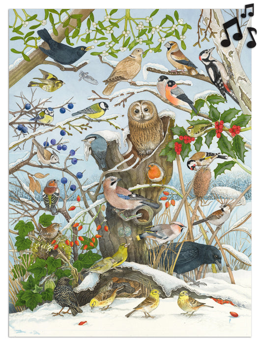 Birds in Winter Birdsong Audio Advent Calendar