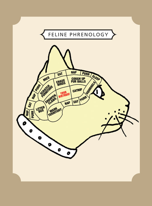 Cat Phrenology Card