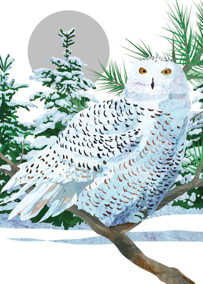 Snowy White Owl Holiday Card