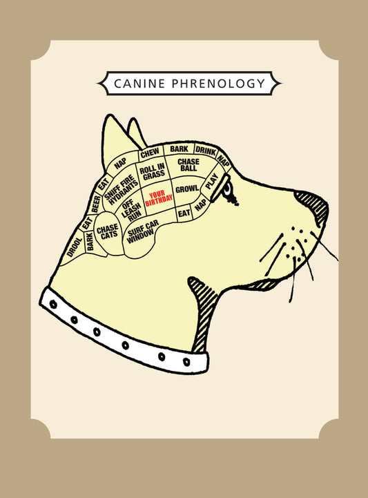 Dog Phrenology Card