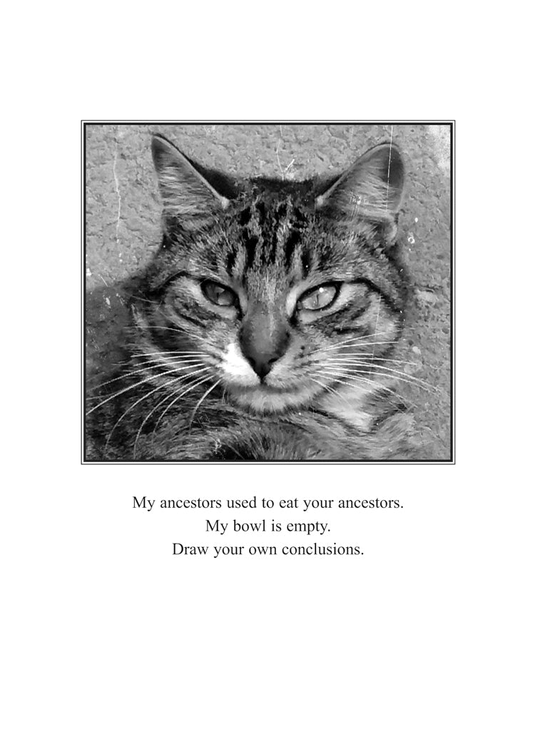 Cat Ancestors Humor Card