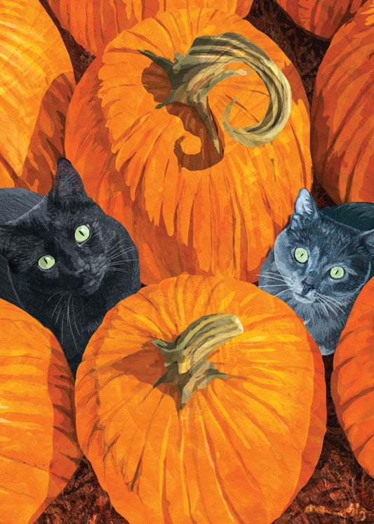 Pumpkin Cats Halloween Card