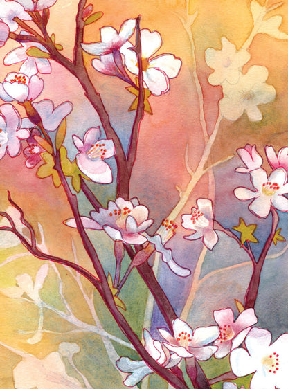 Sunrise Cherry Blossoms (Mother's Day) Card