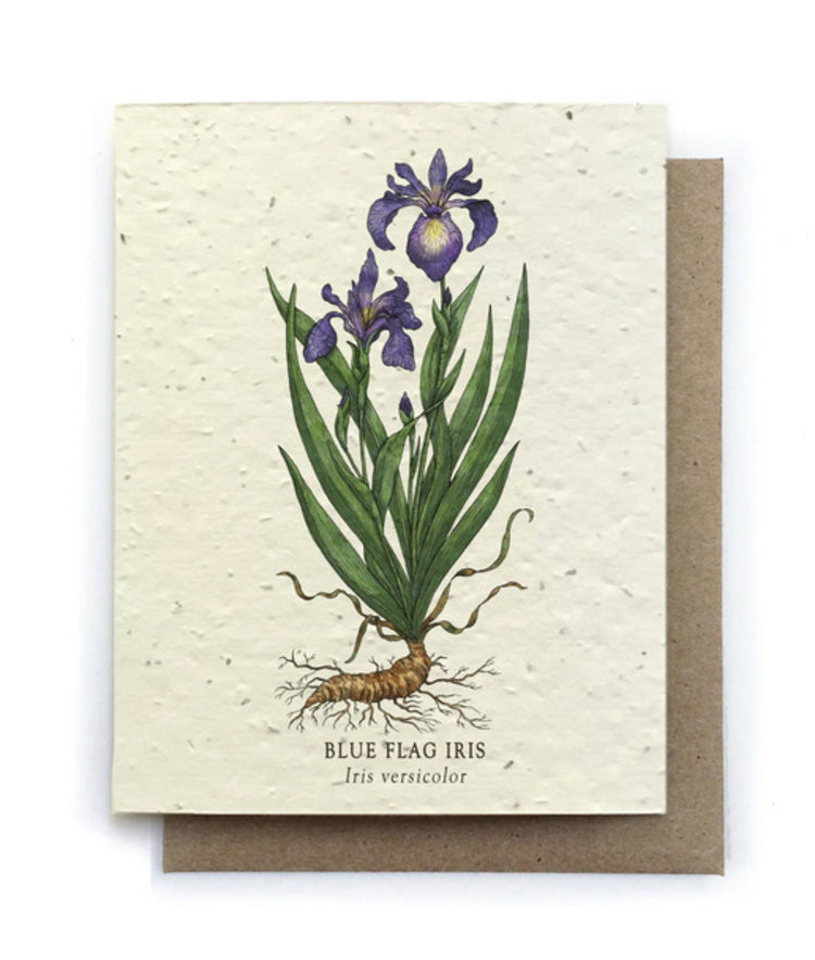 Iris Plantable Seed Card