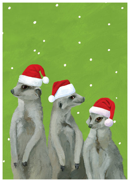 Merry Meerkats Holiday Card