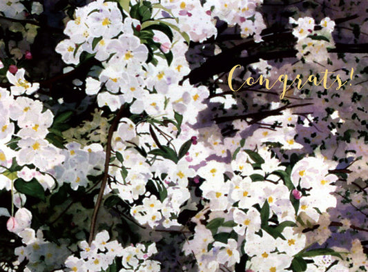 Flowering Tree Card