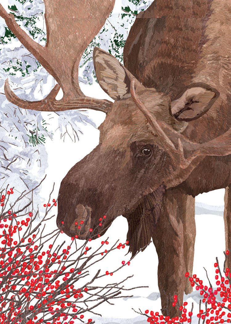 Moose with Berries Holiday Card