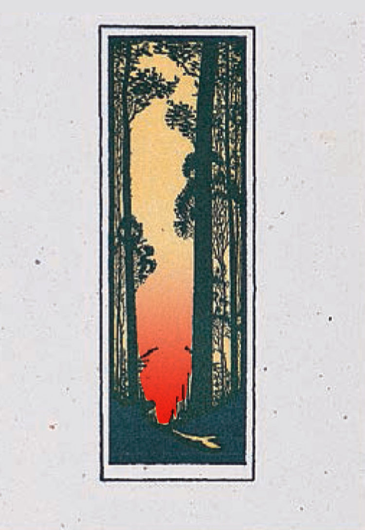 Forest Sunset Blank Card